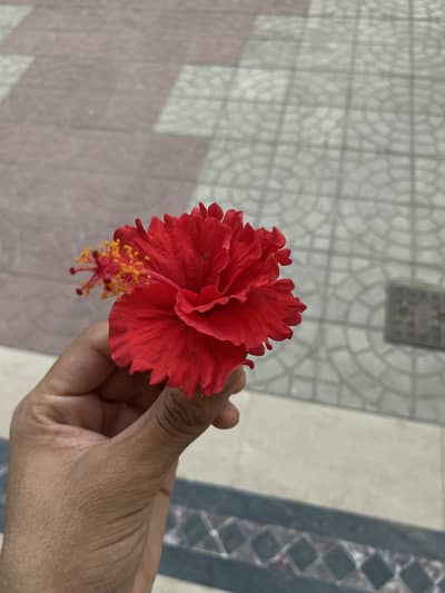 :)