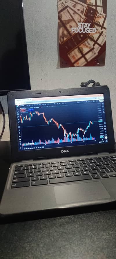 Chromebook Dell 12' Screenshot