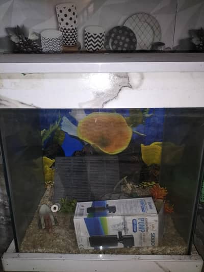 Aquarium