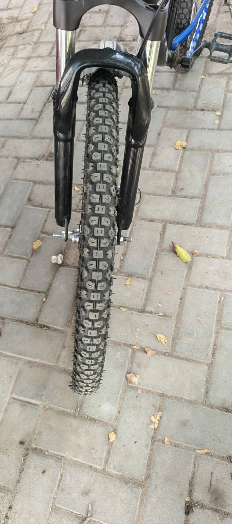 Plus Cycle 3