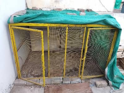 Metal Cage