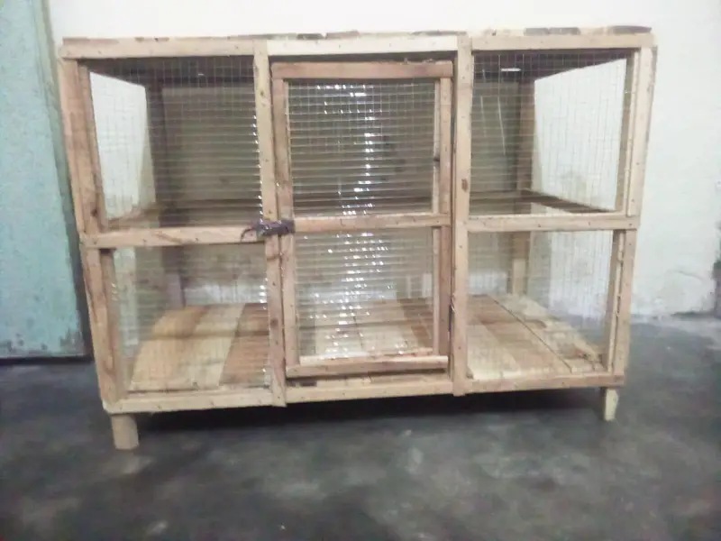 hen's cage