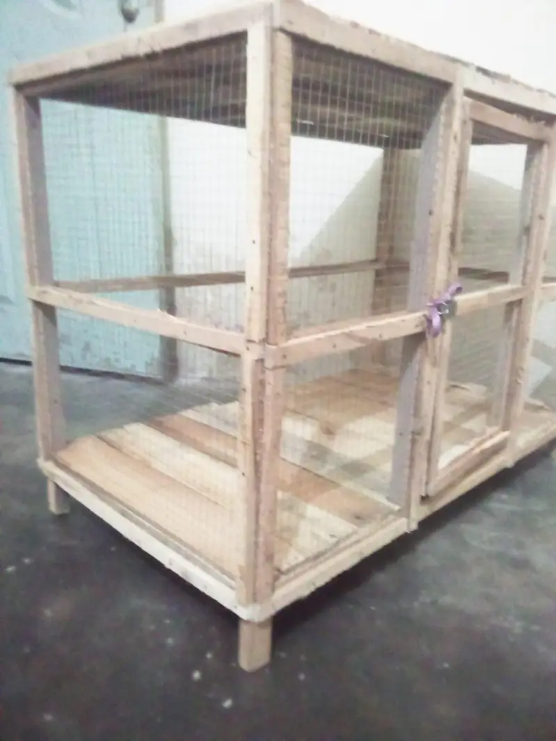 hen's cage — photo 3