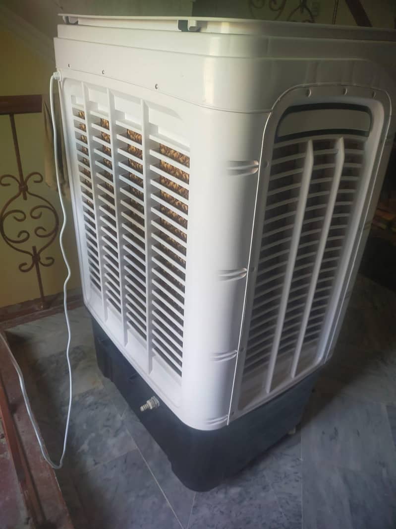 Beetro Cooler 1