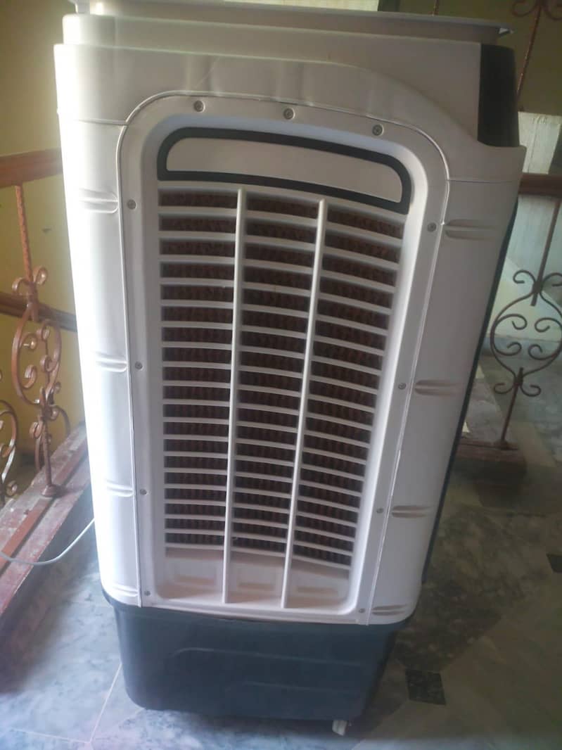 Beetro Cooler 3