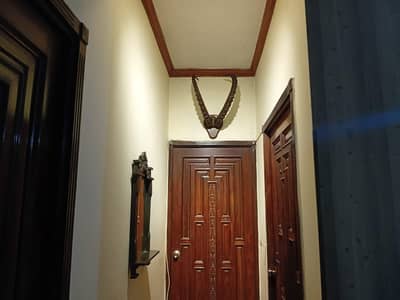 Vintage Himalayan Ibex Horns Wall Mount - 38 Inches (Hunza)