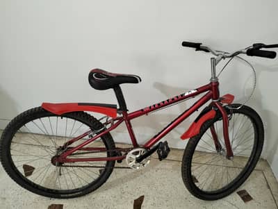 Bicycle for sale
