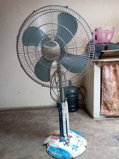Royal Pedestal Fan