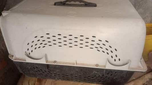 cate or sath 2 bchy or cat cage urgent sale