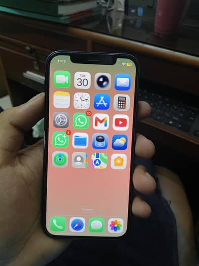 Apple iPhone 12