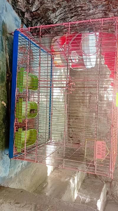 large size cage