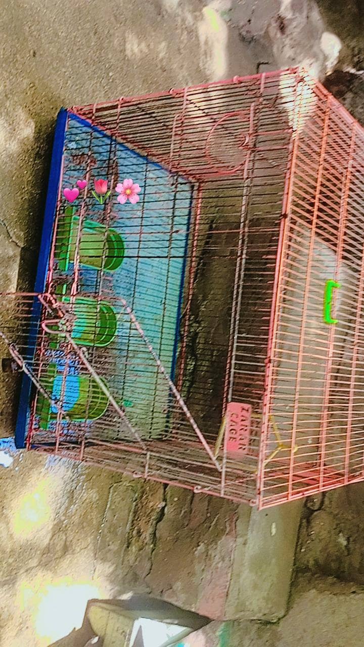 large size cage 1