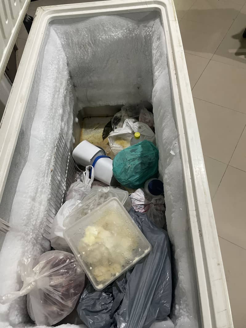 Defreezer 1