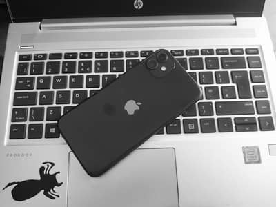 Apple iPhone 11 For sell