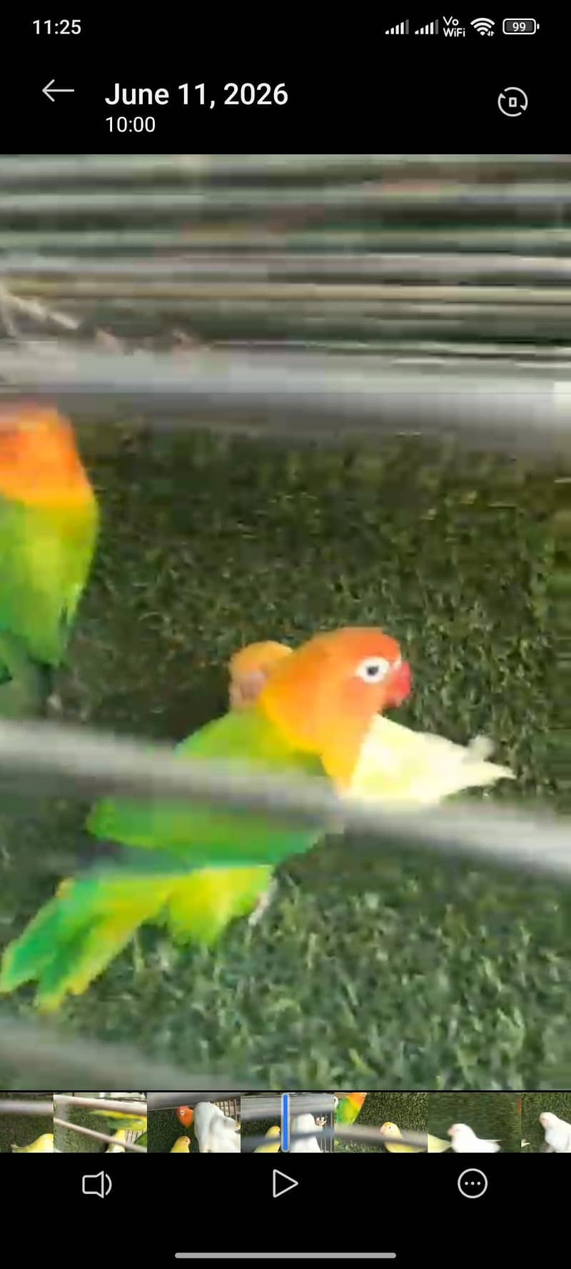breader pair 3