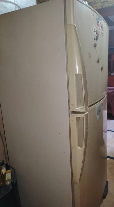 Dowlance fridge Medium size Jumbo cooling