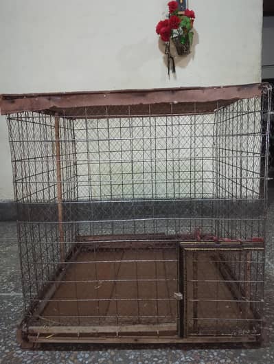 birds cage for sale