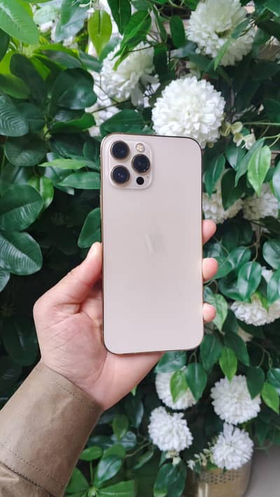 Apple iPhone 12 Pro Max