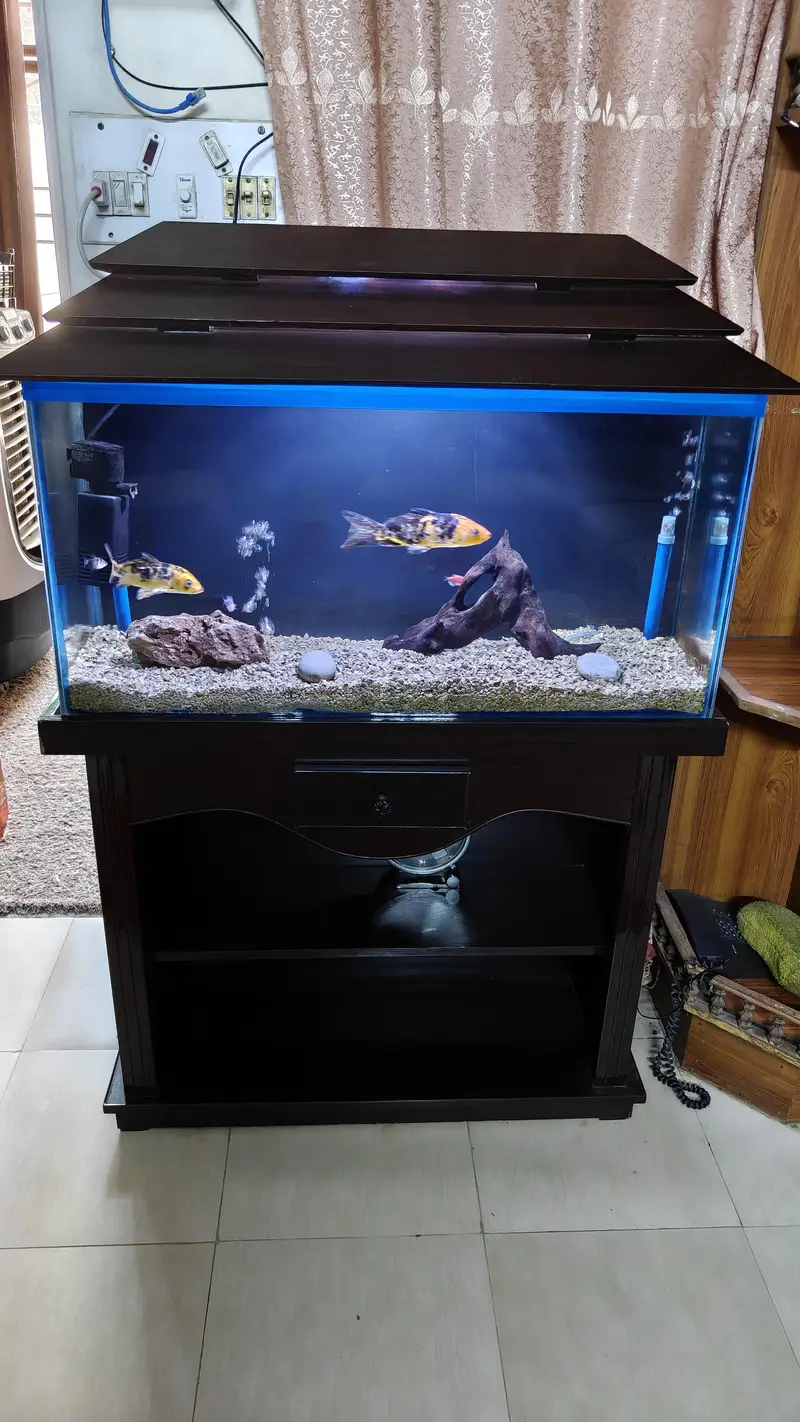 Fish Aquarium with fishes, filter and pumps — photo 3