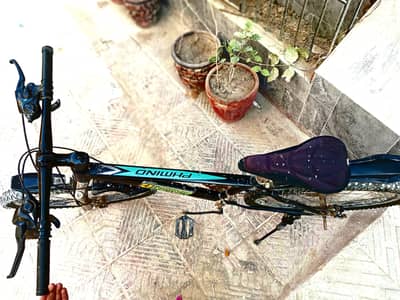 Imported bicycle
