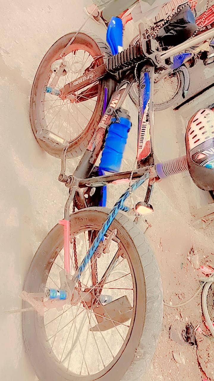 cycle 2