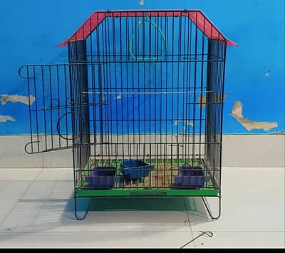 Raw pahari cage for sell