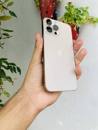Apple iPhone 13 Pro Max