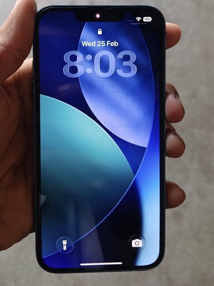 Apple iPhone 13 0