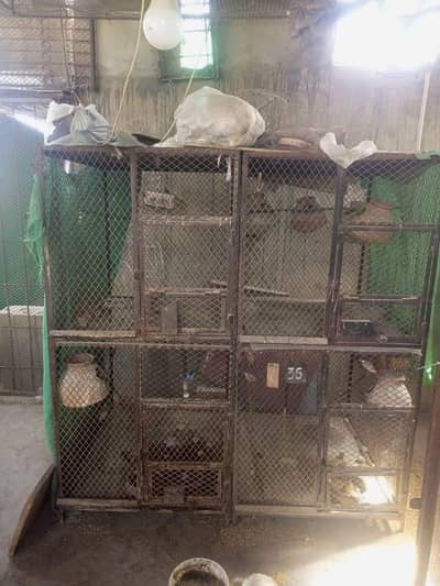 Burds Cage