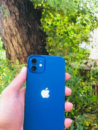 Apple iPhone 12