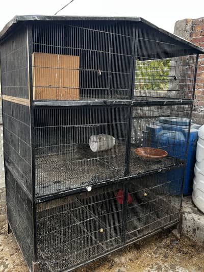 Bigg strong cage havey weight 100kg