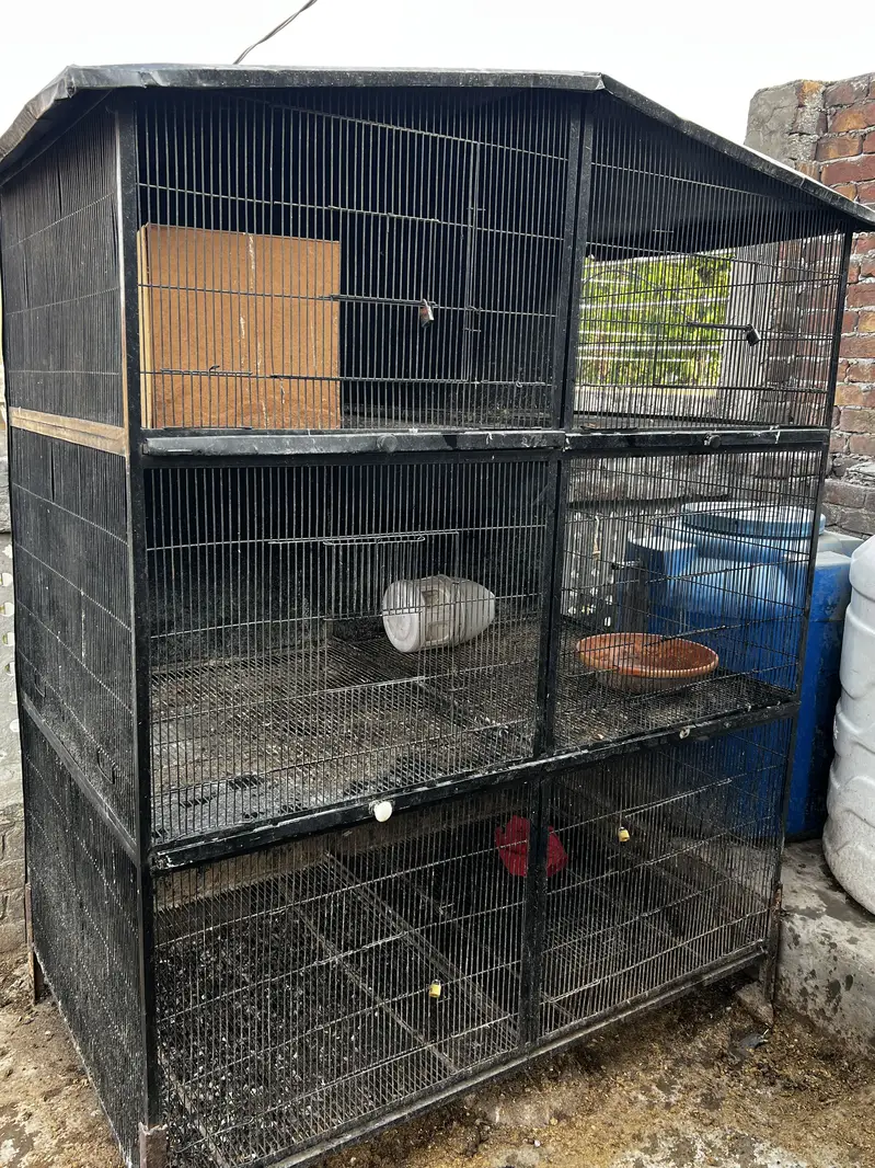 Bigg strong cage havey weight 100kg