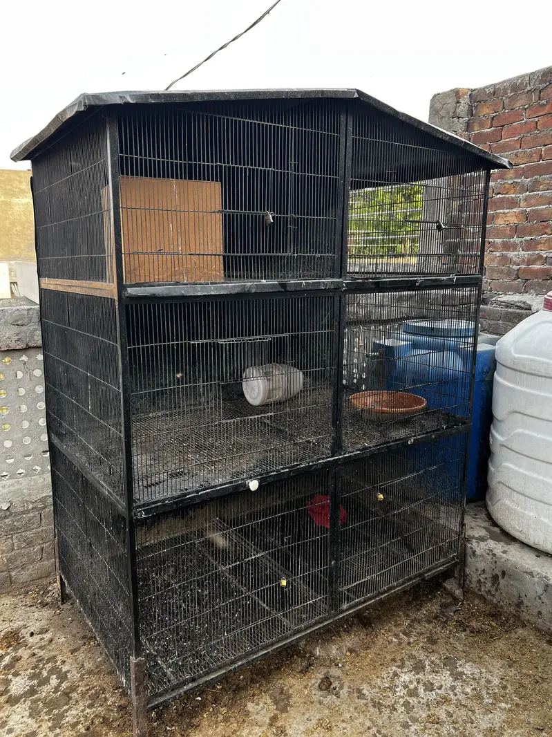 Bigg strong cage havey weight 100kg — photo 2
