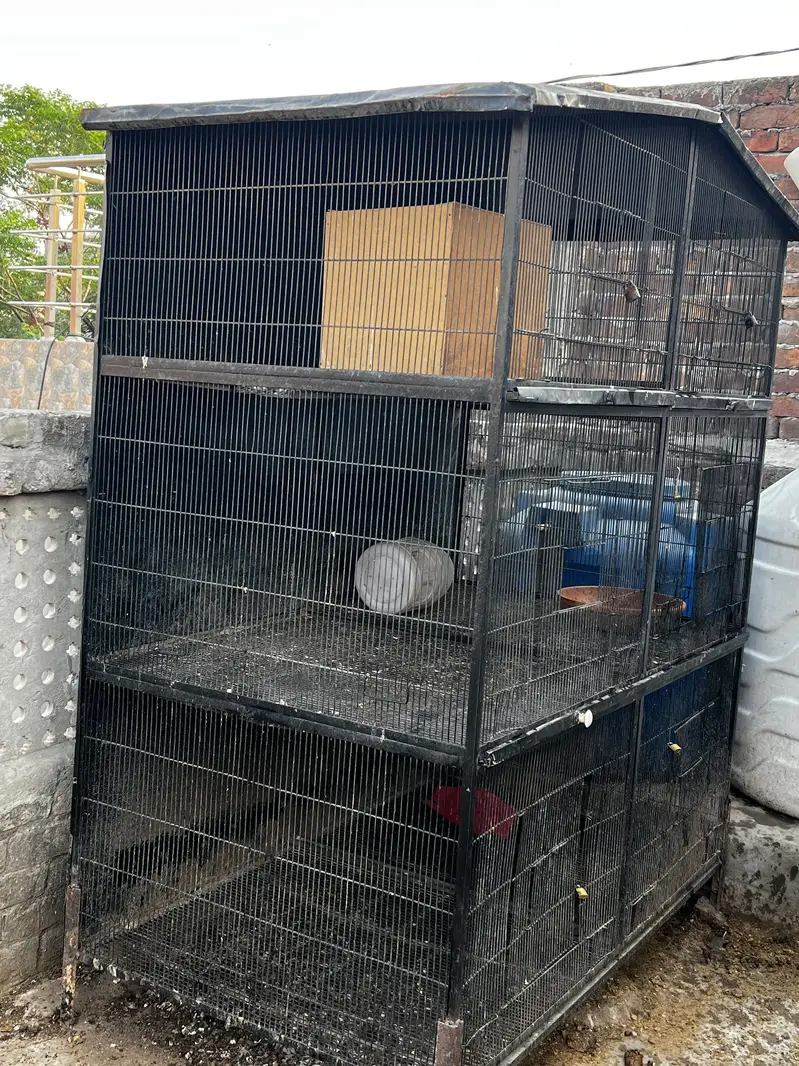 Bigg strong cage havey weight 100kg — photo 3
