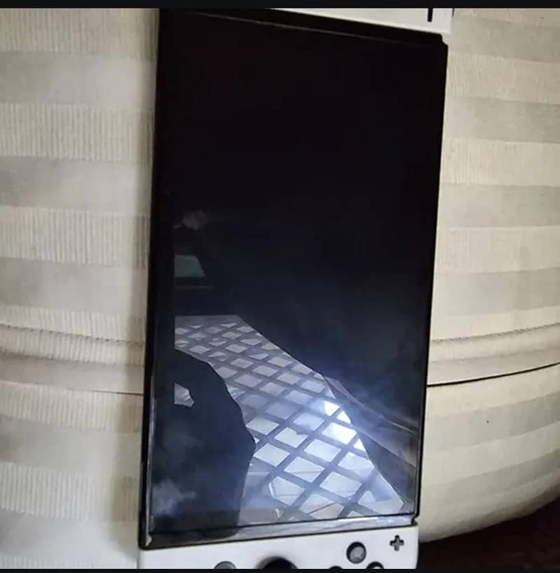 nintendo switch 1