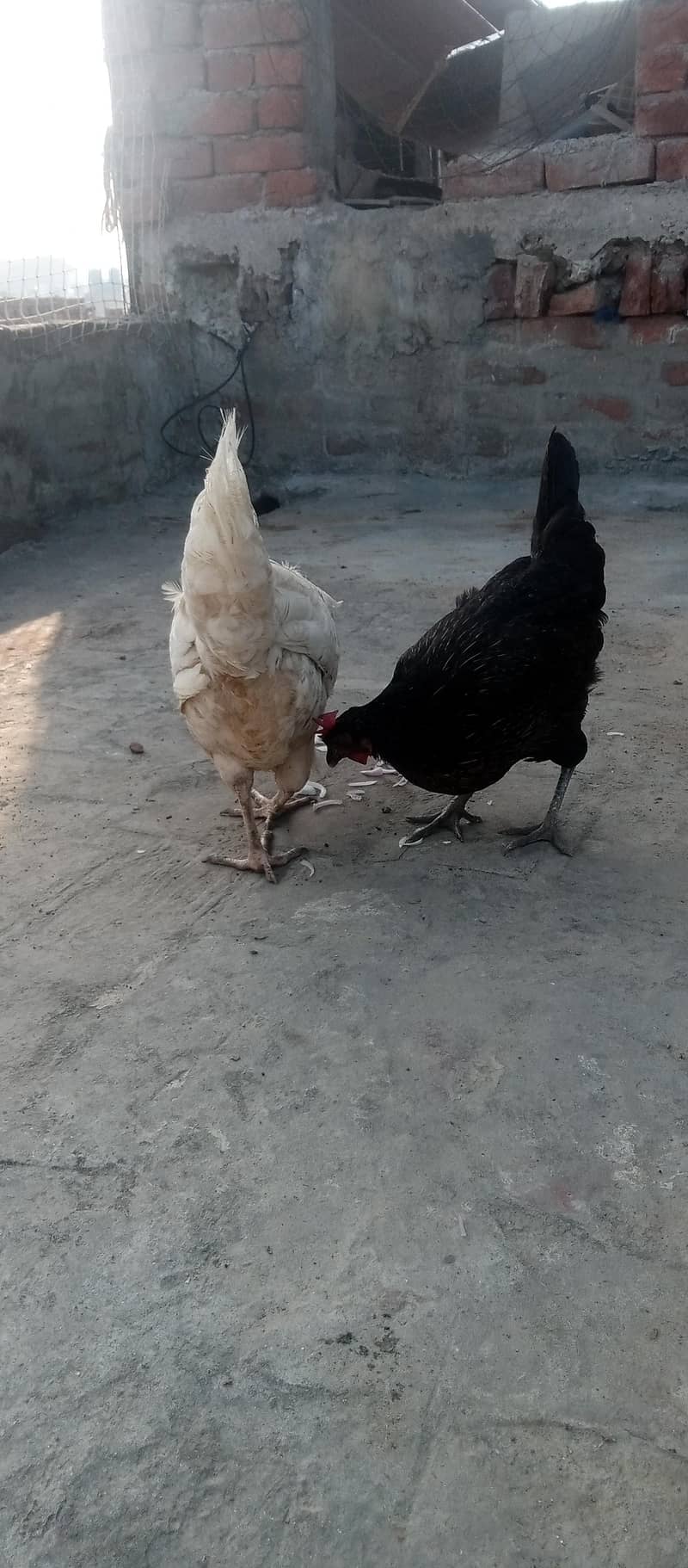 exchange posibal 0