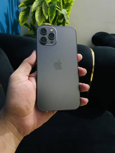 Apple iPhone 12 Pro Max 256gb PTA Approved