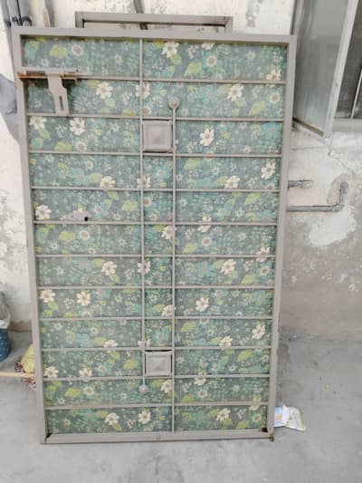 Steel Door