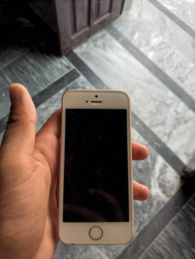 Apple iPhone SE 1 st generation