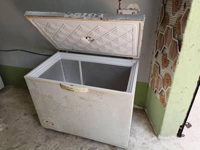 FREEZER