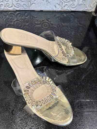 Fancy shoes