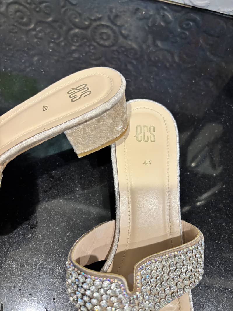 Fancy shoes 2