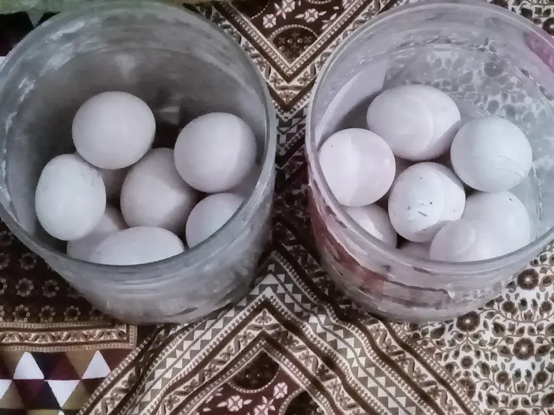 herry jory k egg avlible han fotail — photo 10