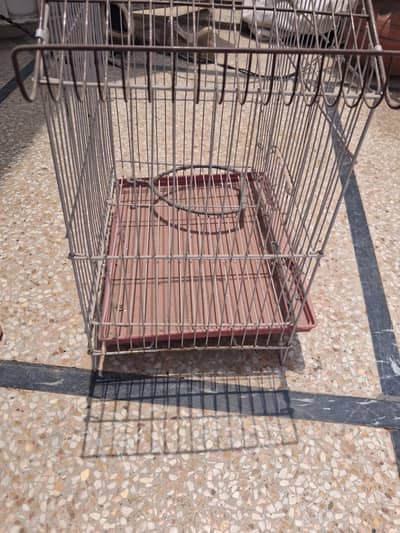 Bird Cage