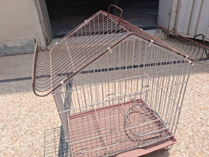 Bird Cage 1