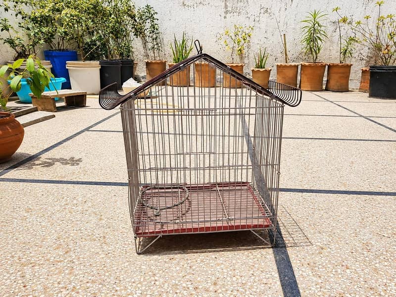 Bird Cage 2