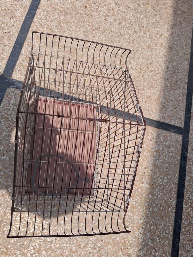 Bird Cage 3