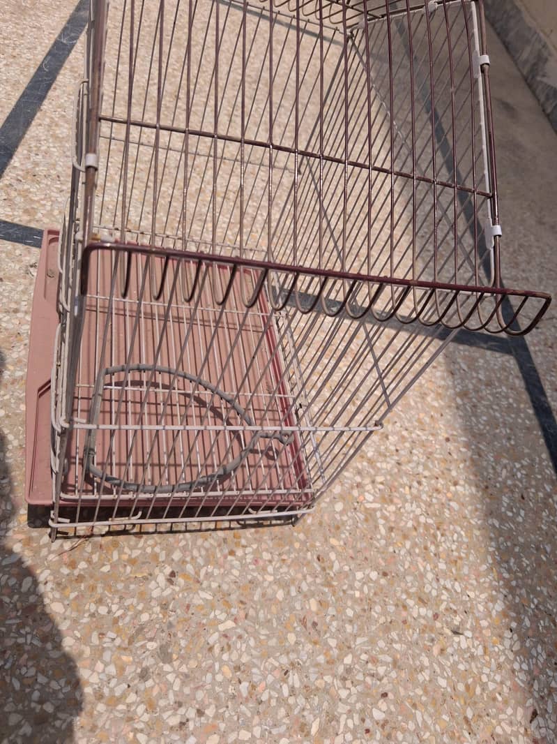 Bird Cage 4