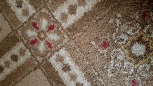 12 x 12 Size Carpet Double Layer