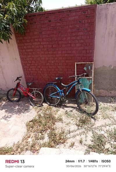 sirf puncture Hain. Baki all ok